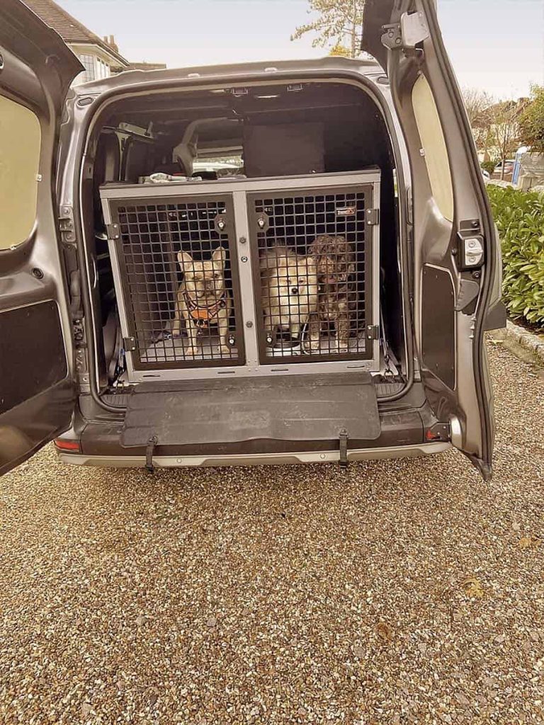Three dogs secured inside crash-tested crates in a van
